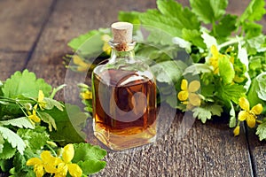 A bottle of greater celandine tincture with Chelidonium majus flowers and leaves