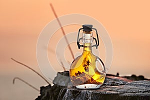 The bottle of greek olive oil on the nature sunset background