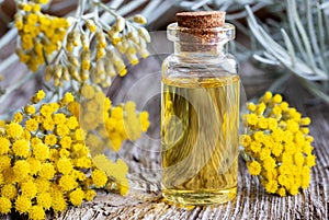 A bottle of helichrysum essential oil with fresh blooming helichrysum italicum photo