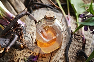 A bottle of herbal tincture with fresh comfrey or knitbone root