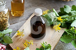 A bottle of herbal tincture with fresh tetterwort plant