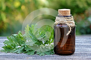 A bottle of herbal tincture and wormwood leaves.