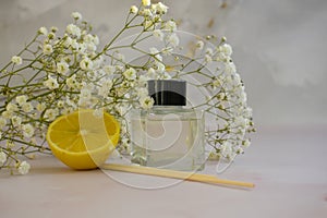 Bottle of home fragrance orange, fragrance  wellness  gypsophila flower decorationessence