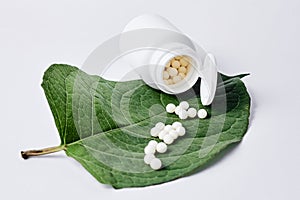 Bottle with homeopathic pills on green plant leaf. Homeopathy, naturopathy and alternative herbal medicine