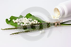 Bottle with homeopathic pills on green plant leaf. Homeopathy, naturopathy and alternative herbal medicine