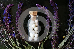 Bottle of homeopathic remedy and salvia on dark background, flat lay