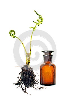 Bottle with homeopathy balm and fern