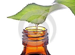 Bottle with homeopathy balm and leaf