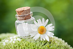 Bottle of homeopathy globules and daisy flower on moss.