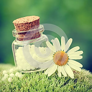 Bottle of homeopathy globules and daisy flower on moss.