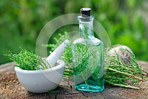 Bottle of juniper infusion or potion, mortar and Juniperus communis twigs.