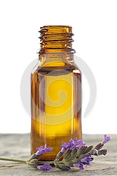 Bottle with lavender essence photo