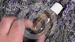 A bottle of lavender oil on dry branches with flowers. home production of perfumery based on natural flower oils. Beauty