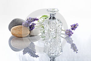 A bottle of Lavender perfume next to some flowers with stones isolated