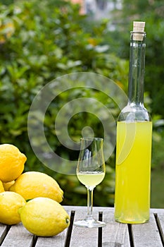 Bottle with limoncello photo