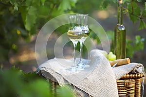 Bottle of liquor or grappa and glasses with bunch of grapes