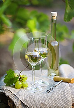Bottle of liquor or grappa and glasses with bunch of grapes