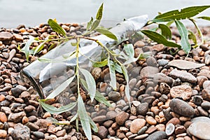 Bottle mail on the stone beach