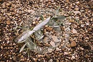 Bottle mail on the stone beach