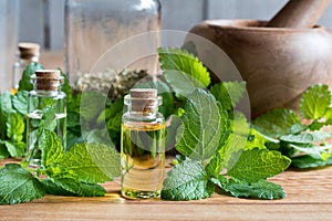 A bottle of melissa essential oil with fresh melissa leaves