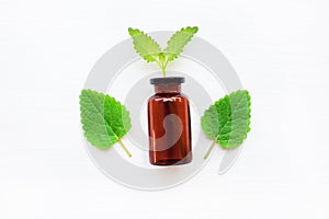 A bottle of melissa lemon balm essential oil.