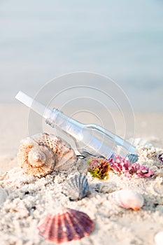 Bottle with a message or letter on the beach near seashell. SOS.
