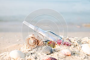 Bottle with a message or letter on the beach near seashell. SOS. Copy space.