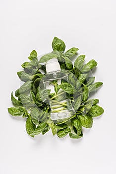 Bottle with mint oil