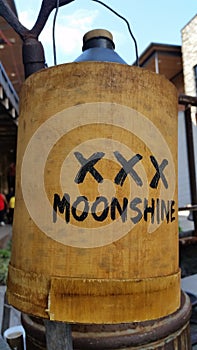 Bottle of Moonshine photo