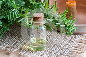 A bottle of mountain savory essential oil with fresh Satureja mo