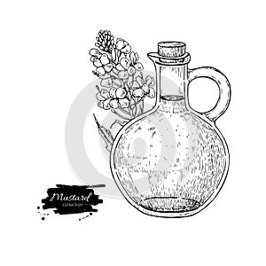 Bottle of mustard oil with plant. Vector Hand drawn illustration.