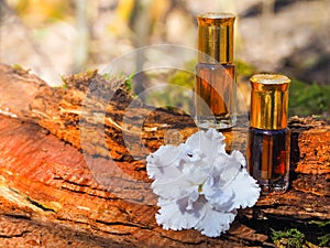 Bottle of oil agarwood tree against the bark. Arabian oud attar perfume or agarwood oil fragrances in mini bottle.