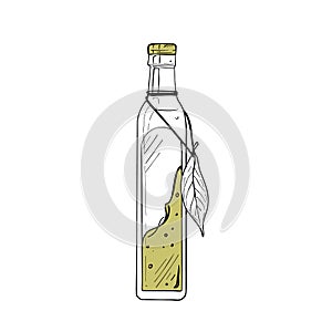 Bottle oil cream vector illustration. Glass container black outline graphic drawing. Cosmetic vegan food ink line