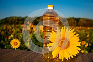 Bottle of oil on wooden stand with sunflowers field background. Sunflower oil improves skin health photo