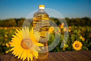 Bottle of oil on wooden stand with sunflowers field background. Sunflower oil improves skin health