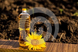 Bottle of oil on wooden stand with sunflowers field background. Sunflower oil improves skin health