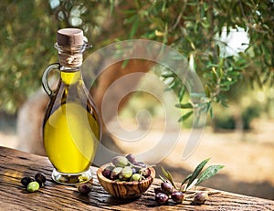 Bottle of olive oil and berries are on the wooden table under the olive tree