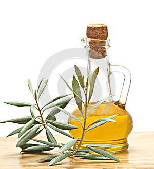 Bottle of olive oil and olive branch
