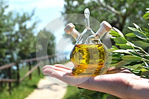 Bottle of olive oil in the olive grove