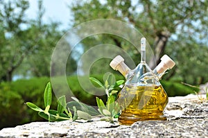 Bottle of olive oil in the olive grove