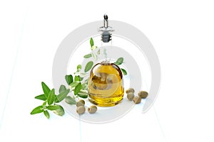 Bottle of olive oil with olives and and an olive branch