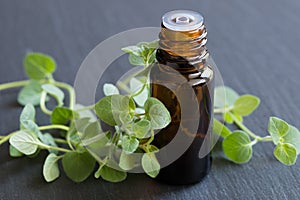 A bottle of oregano essential oil with fresh oregano leaves