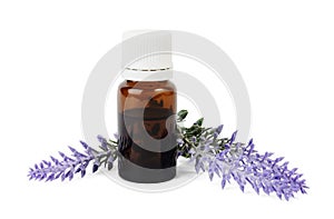 Bottle of organic essential oil and lavender flowers on white background