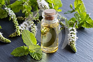 A bottle of peppermint essential oil with blooming peppermint twigs