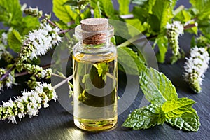 A bottle of peppermint essential oil with fresh peppermint twigs