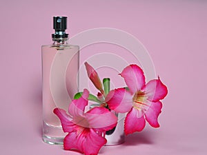 Bottle of perfume and adenium flower isolated