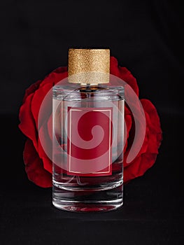 a bottle of perfume against a large red flower against a dark background