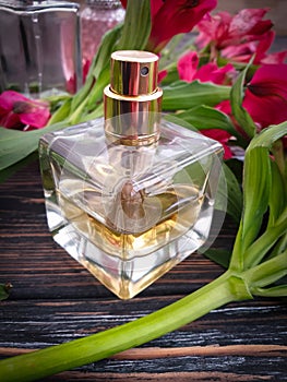 Bottle perfume essence elegance glamor fashion eminine flower beautiful a wooden background bloom