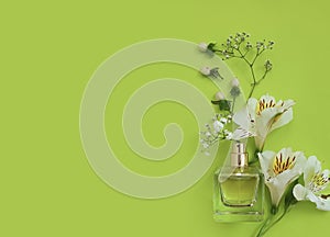 Bottle perfume flower on a colored background