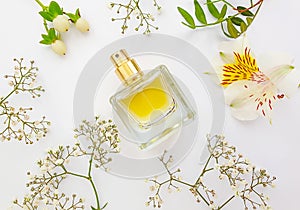 Bottle perfume flower on a colored background essence